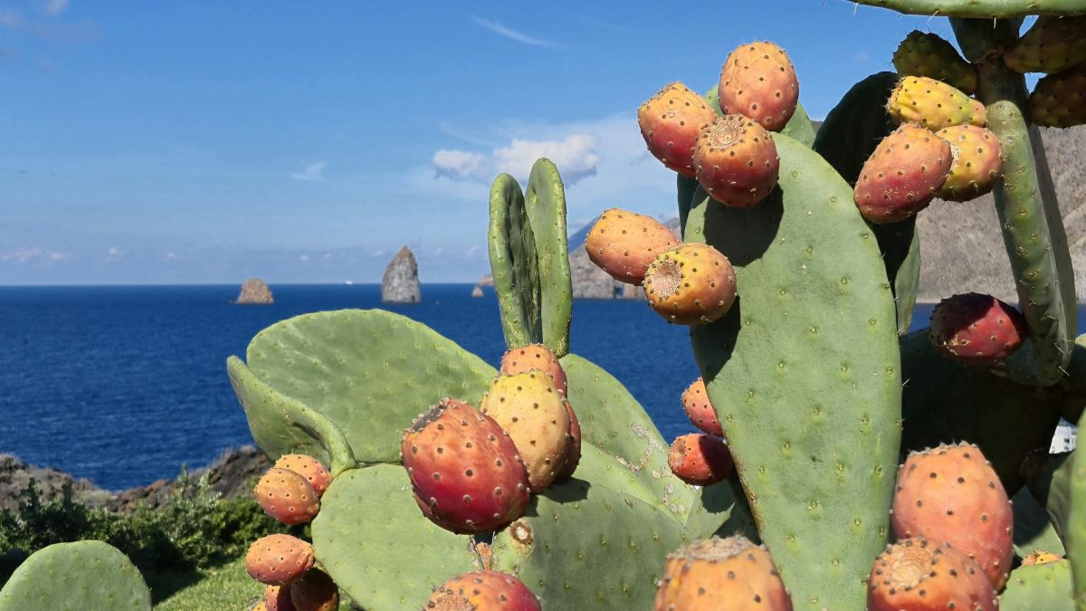 Cosa fare e vedere a Tropea