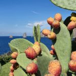 Cosa fare e vedere a Tropea