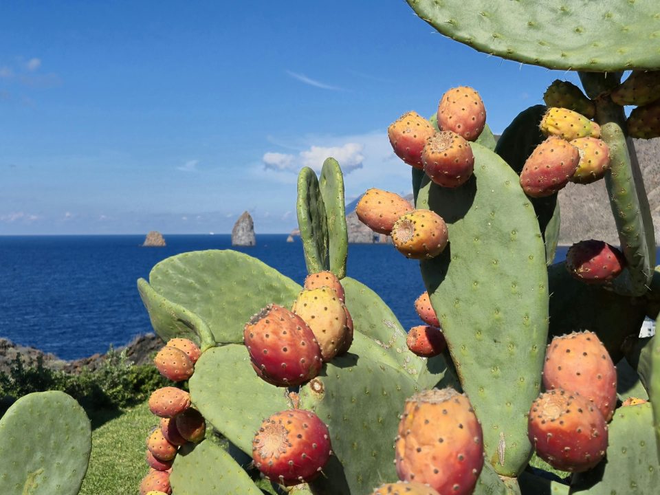 Cosa fare e vedere a Tropea